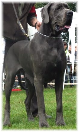 Bakshama de l'Outsaïna