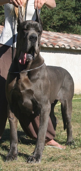 Ebaroudzïa de l'Outsaïna