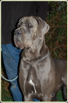 Fallona de l'Outsaïna