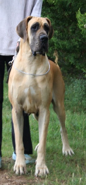 H'inaasahan de la Benjamine