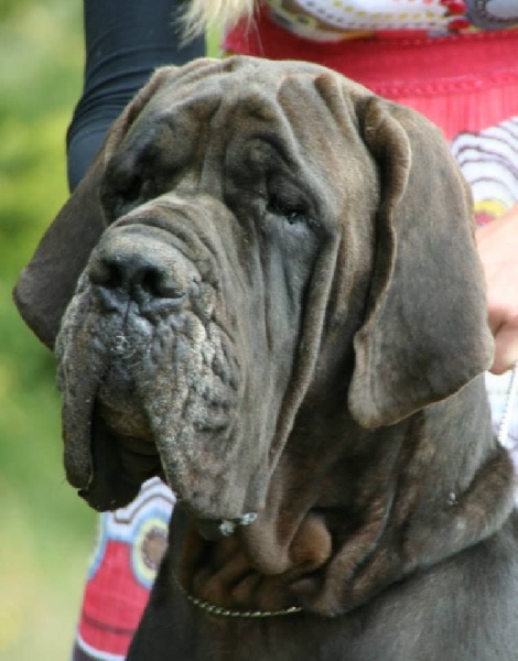 Haa'latïka de l'Outsaïna