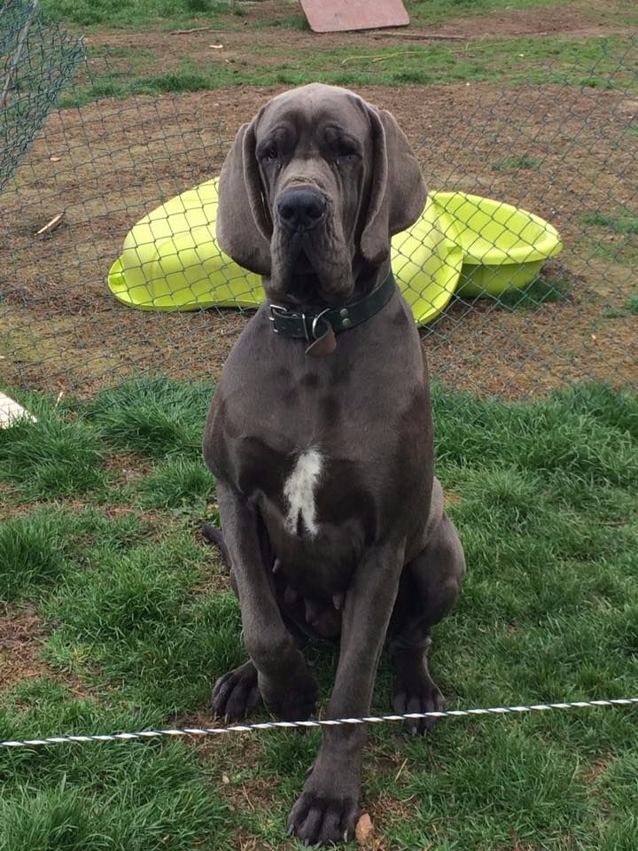 Laudis de l'Outsaïna