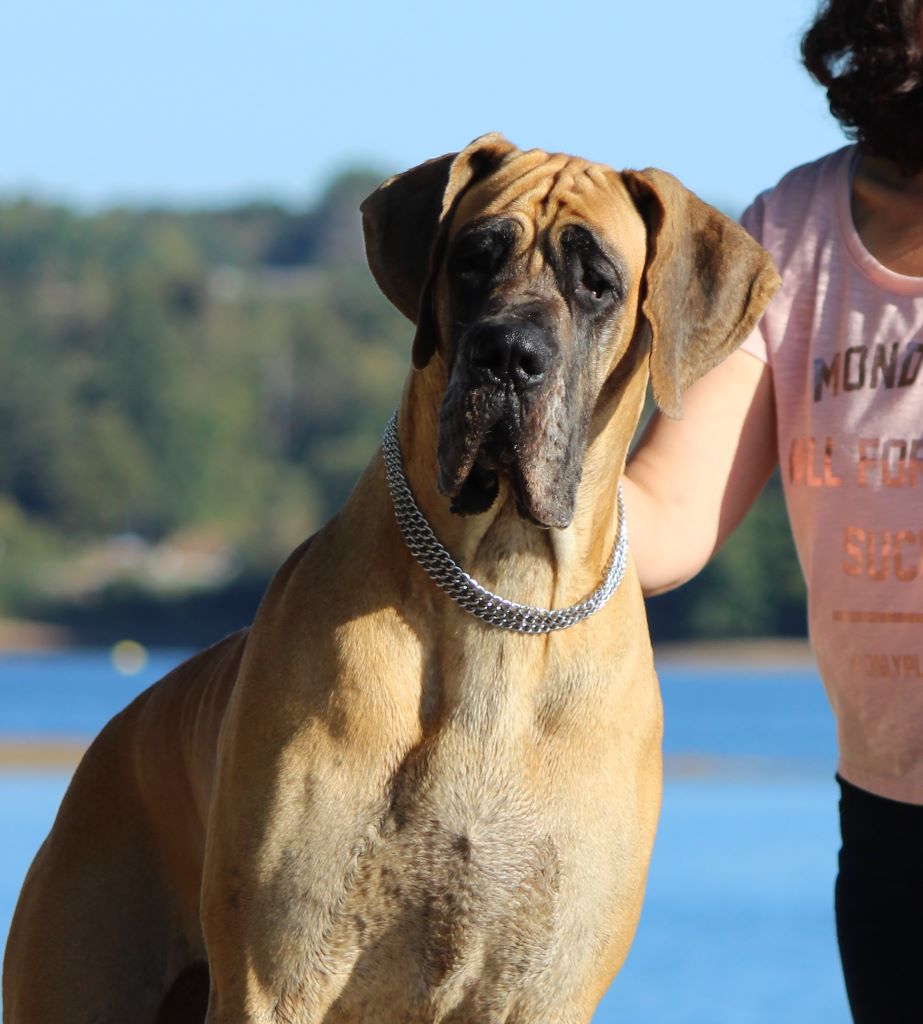 CH. Lakshana de l'Outsaïna