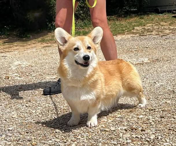 forte's brand Mika do