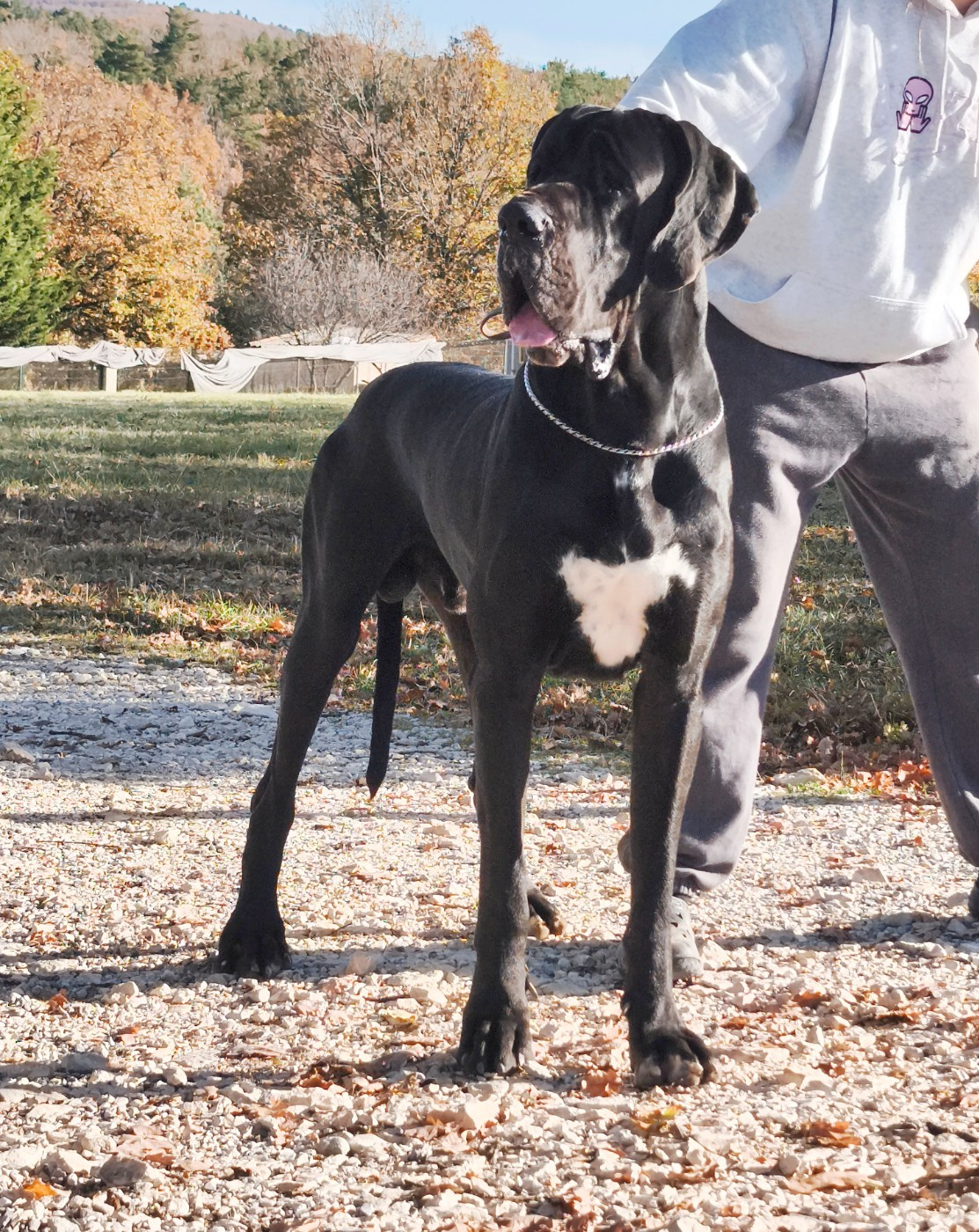 Oyametepek  Dell'alto Feudo