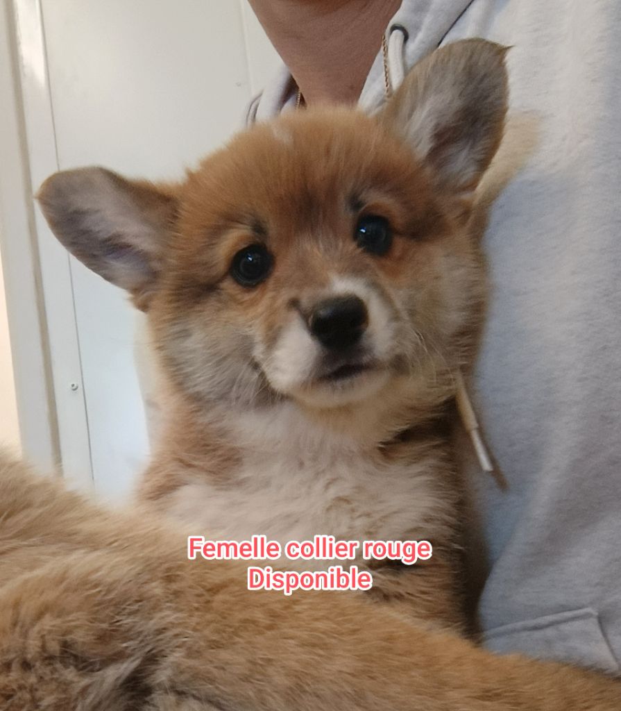 Nouvelles photos de nos bébés disponibles