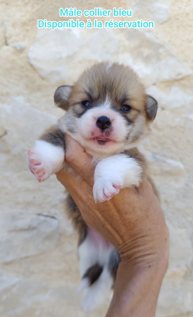 Nouvelles photos de nos bébés disponibles