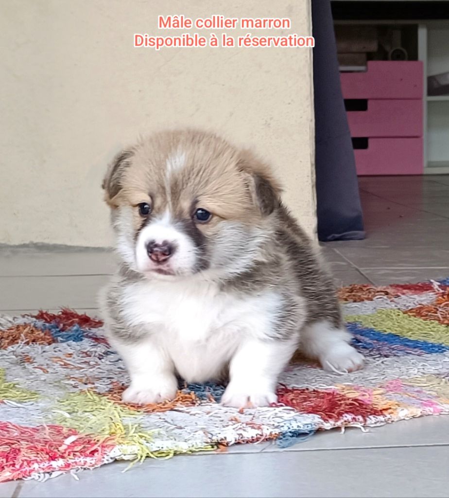 Nouvelles photos de nos bébés 