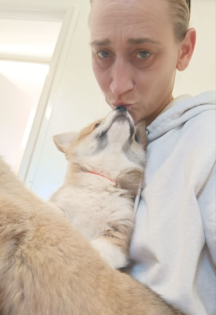 Petit tour au véto pour les vaccins et les identifications 